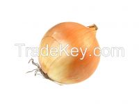 onion