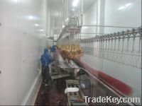 Sell chicken broiler slaughter machine