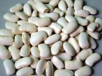 Sell white kidney bean