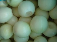 Sell peeled onion(new crop 2010, hot sales)