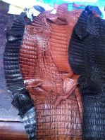 Sell caiman fuscus skins finished leather