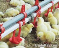 Sell Automatic Poultry Farming Equipment