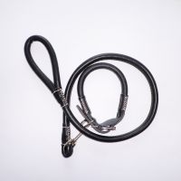 2019 hot product retractable dog leash collar