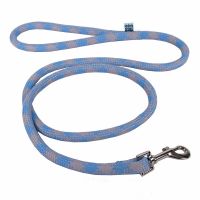 2019 new product design pet dog collar and leash