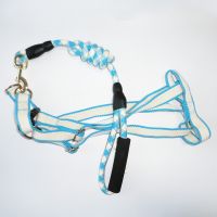 2019 hot product dog collars leashes