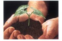 Sell Green Soil Conditioner