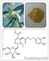 Sell Olive leaf extract Oleuropein10% 20% 30%