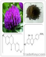 Sell Red Clover extract 20%-40% Isoflavones