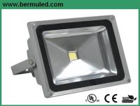 Sell outdoor led flood light 30w