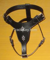 Dog Harness