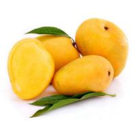 Exporter of fresh Mangos from Pakistan