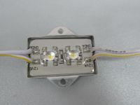 2LED Waterproof LED module
