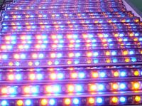 LED Wall Washer