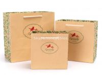 Promotional Art Paper Gift Bag, Kraft Paper Gift Bag, Custom Gift Bag