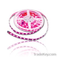 Sell led strip line