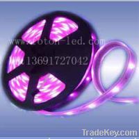 Sell Led Strip Lights(IP65-IP68)