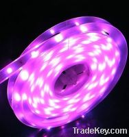 Sell Flexible led strip light 3528