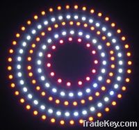 Sell Led car ring, led auto lamp