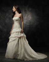 wedding dress/bridal dress