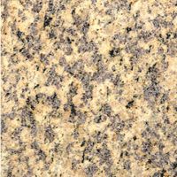 Sell Granite--Tiger Skin Yellow