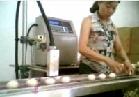 Sell egg printing machine