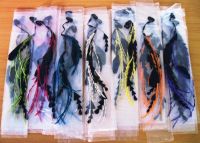 Sell clip on feather extension