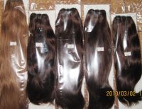 sell 10"-30"colored indian remy hair weft