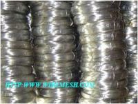 Sell black annealed wire , steel iron wire