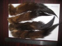 Sell  sable tails