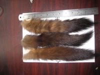 Sell canadian sable tails