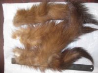 Sell bow marten tails