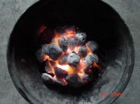 Sell Ready-to-light briquettes