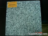 Sell China granite G623