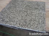 Sell China granite G439