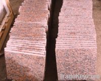 Sell black granite shanxi  black