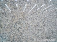 Sell Forest Green Granite Countertop Slab