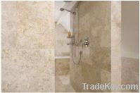 Sell Shell Beige Marble Floor / Wall Tiles