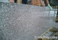 Sell G664 Brown Granite Slab