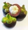 Sell Mangosteen Extract (A-Mangostin)