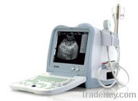Sell Full Digital Vet Ultrasound Scanner (KX2600, 09 edition)