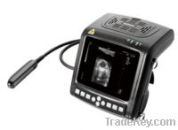 Sell Full Digital Smart Veterinary Ultrasound Scanner (KX5200)