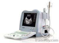 Sell Portable Ultrasound Scanner (KX2600, 11 Edition)