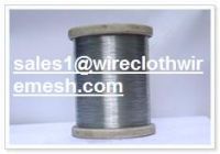 sell Stainless Steel Wire