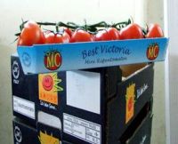 Sell Fruit Packing Box