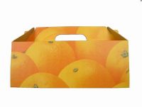 Sell Fruit Carrier Box