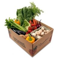 Sell Vegetable Protective Box