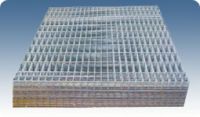 Sell Welded Wire Mesh Panel