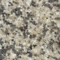 Sell china beige granite