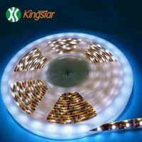 Sell SMD LED STRIP