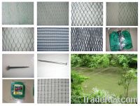 Sell anti bird net